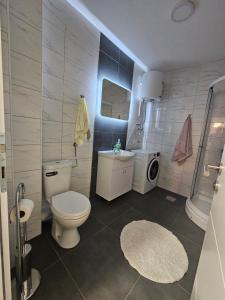 a bathroom with a toilet and a sink and a washing machine at Apartman ALLURE - Bijeljina in Bijeljina +24 photos