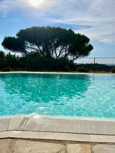 a large swimming pool with a tree in the background at Borgo di Libbiano in Libbiano