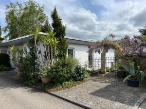 ein weißes Haus mit Pflanzen und einem Zaun in der Unterkunft Souterrain Ferienwohnung in Haigerloch