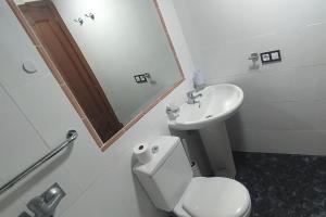 La salle de bains est pourvue de toilettes, d'un lavabo et d'un miroir. dans l'établissement CASA MARY, Céntrico y amplio piso cerca del mar, en Candelaria, à Candelaria