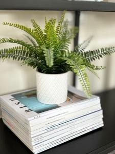 uma planta de vasos sentada em cima de uma pilha de livros em Stansted Coach House em Elsenham