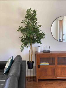 a living room with a couch and a tree next to a mirror at Humble & Homely in Rockingham