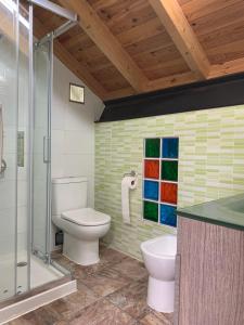 La salle de bains est pourvue de toilettes et d'une douche en verre. dans l'établissement Blauw huis oude centrum authentiek Spaans straatje, à La Vila Joiosa