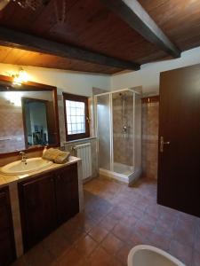 La grande salle de bains est pourvue d'une douche et d'un lavabo. dans l'établissement Casa Micuccio, à Torrimpietra