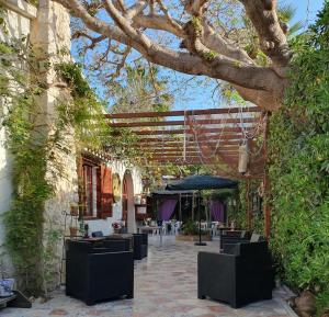 un patio avec des tables et des chaises sous un arbre dans l'établissement Hostal Mi Campaña, à Dénia