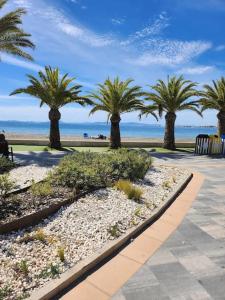 a row of palm trees on a sidewalk near the beach at Dreams of San Pedro in San Pedro del Pinatar