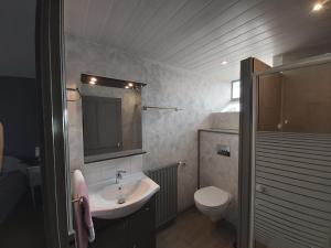a bathroom with a sink and a toilet and a mirror at LA PASSIFLORE in Azé +41 photos