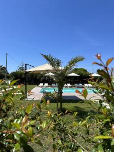 einen Pool mit Palmen und Sonnenschirmen in der Unterkunft SUNSEA - Enjoy Your Family in Capo Vaticano