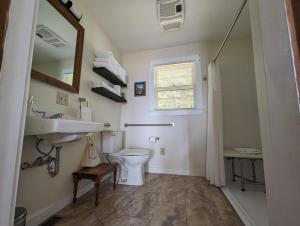 uma casa de banho com um WC, um lavatório e um espelho. em Lone Pine Oceanfront Cottage em Prospect Harbor