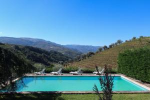 a swimming pool in the middle of a vineyard at Quinta de Baixo in Vila Marim