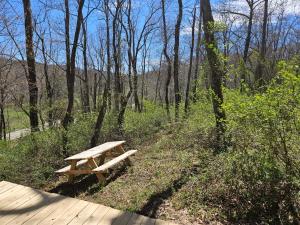 a wooden bench sitting on a wooden path in the woods at Black Oak Campsite at Hocking Vacations Campsites - Tent not Included in Logan