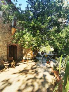 a person sitting under a tree in a courtyard at Le mas petit in Thuir