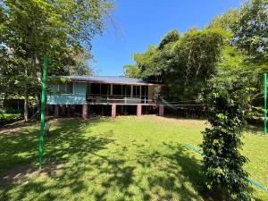 马西尼古蒂The Midway Jungle Resort的相册照片