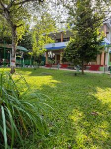 马西尼古蒂The Midway Jungle Resort的相册照片