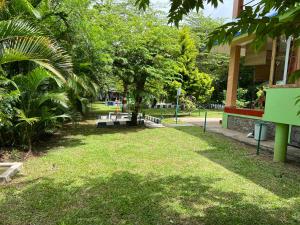 马西尼古蒂The Midway Jungle Resort的相册照片