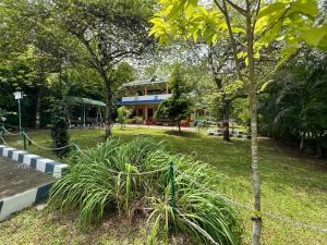 a park with a tree and a building in the background at The Midway Jungle Resort in Masinagudi