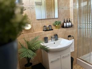 een badkamer met een wastafel, een spiegel en een plant bij Thermal Garden Vendégház in Tiszakécske