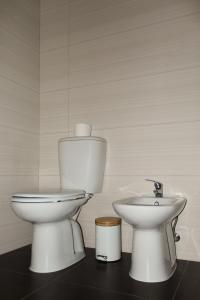 a bathroom with a toilet and a sink at Quinta de Baixo in Vila Marim +36 photos
