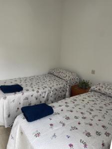 Habitación en piso في ثينيس دي لا فيغا: غرفة بسريرين عليها وسائد زرقاء
