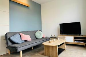TV a/nebo společenská místnost v ubytování Happy Day-Appartement entier 2 chambres-60 m2