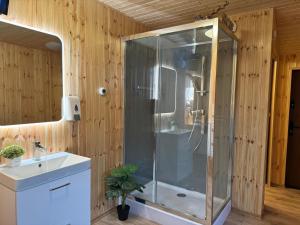 W łazience znajduje się prysznic, umywalka i toaleta. w obiekcie Penzion na Lůkách w mieście Horní Bečva