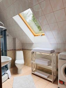 布克維的住宿－Cottage Kalinka，浴室配有卫生间、水槽和天窗。