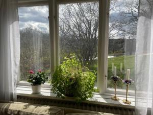 Zahrada ubytování Karlshamn 1 Sankt Anna Söderköping