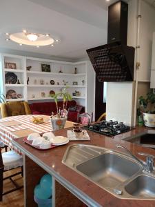 Η κουζίνα ή μικρή κουζίνα στο Вілла ЕДЕЛЬВЕЙС