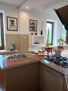 Η κουζίνα ή μικρή κουζίνα στο Вілла ЕДЕЛЬВЕЙС