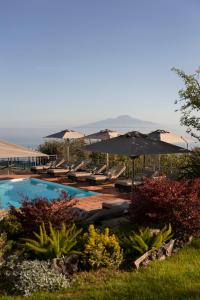 索倫托的住宿－瑞萊巴倫宮旅館，游泳池配有遮阳伞、躺椅和四柱四柱床
