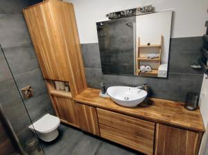 a bathroom with a sink and a toilet and a mirror at Przytulny Apartament Słowackiego in Wągrowiec