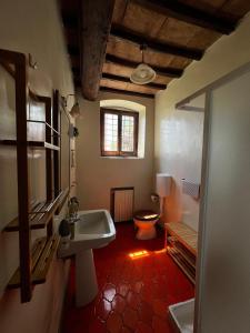 ein Bad mit einem Waschbecken und einem WC in der Unterkunft Casa Bruna in Pontassieve