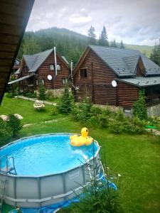 un pato de goma sentado en la parte superior de una piscina en Cottage Kalinka en Bukovel