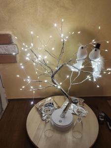 two birds sitting on a tree branch with lights at COUNTRYSIDE SUITE in Ceprano