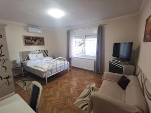 um quarto com uma cama, um sofá e uma televisão em Tini Apartman em Balatonfüred