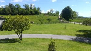 un arbre au milieu d'un champ vert dans l'établissement Gite de l'Ancheronne 12 couchages spa, à Lavans-sur-Valouse