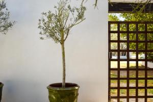 Giardino di MAS MLS