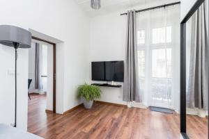 Televízia a/alebo spoločenská miestnosť v ubytovaní Brzozowa Apartments by Hostly