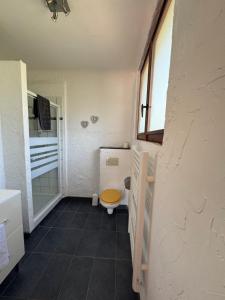 カステラーヌにあるBnb Castellaneのバスルーム(トイレ、ガラス張りのシャワー付)