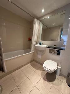 a bathroom with a toilet and a sink and a tub at The Fitz Apartment in Dublin