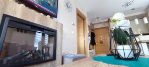 sala de estar con TV y mesa con una planta en Gondola 43, en Zlatibor