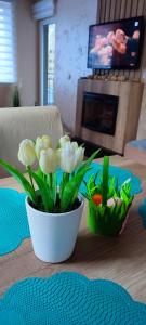 un jarrón de flores sobre una mesa con chimenea en Gondola 43, en Zlatibor