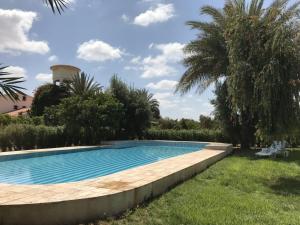 une piscine dans un jardin avec un palmier dans l'établissement Tiguimi Vacances - Oasis Villas, cadre naturel et vue montagne, à Agadir