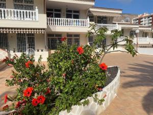 Un jardín fuera de Oasis de tranquilidad y estilo en Los Cristianos de Membrillo Suites
