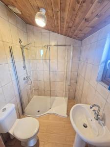 ein Bad mit einer Dusche, einem WC und einem Waschbecken in der Unterkunft Cleish 7 With Private Hot Tub - Fife - Loch Leven - Lomond Hills - Pet Friendly in Kelty