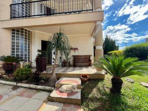 a front yard of a house with a plant at Pousada Canto Bonito centro de Rolante in Rolante