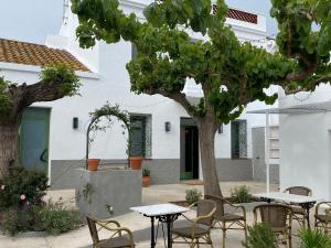 eine Terrasse mit Tischen, Stühlen und einem Baum in der Unterkunft Les Filles (antiga Fonda de la Parra) in Deltebre
