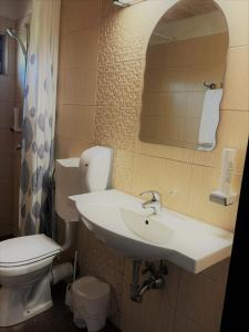 a bathroom with a sink and a toilet and a mirror at Pensiunea Ursul Carcotas in Fundata