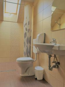 a bathroom with a toilet and a sink at Pensiunea Ursul Carcotas in Fundata +44 photos