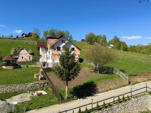 a house on a hill next to a road at Pensiunea Ursul Carcotas in Fundata